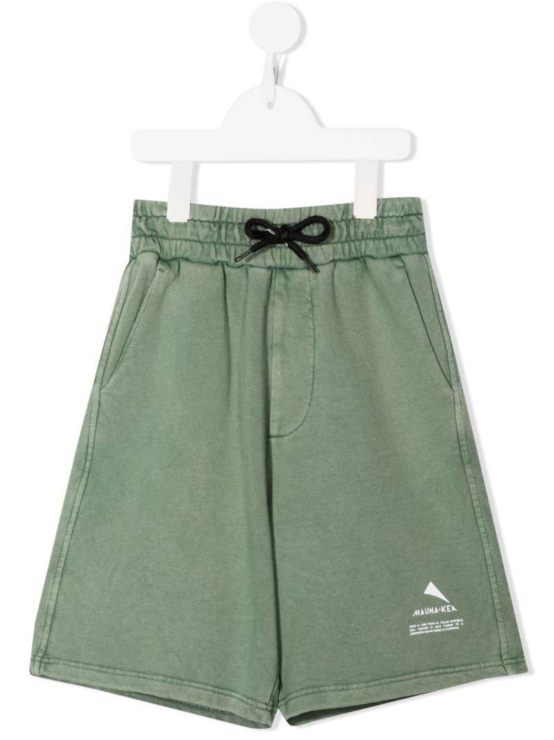 Mauna Kea logo-print bermuda shorts - Green von Mauna Kea