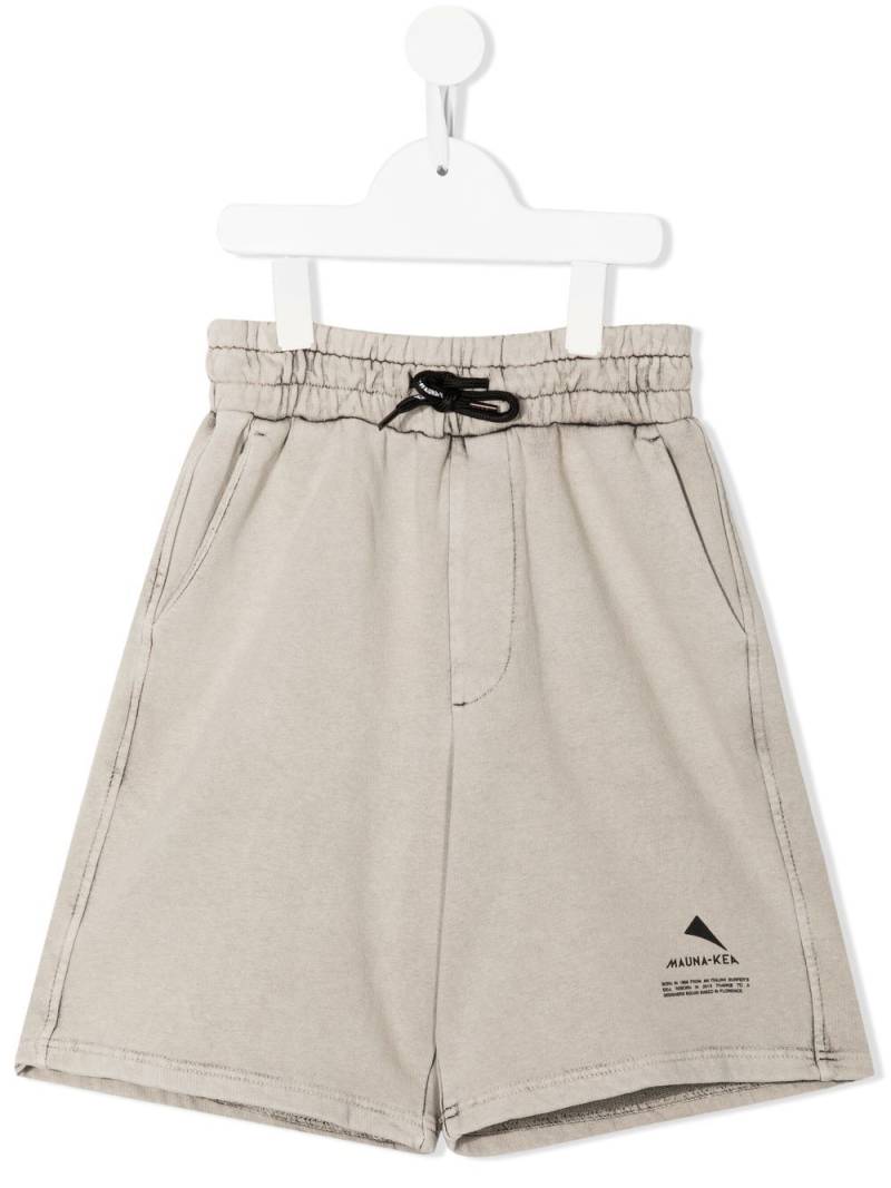 Mauna Kea logo print bermuda shorts - Grey von Mauna Kea