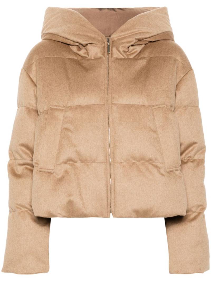 Max Mara Dalia jacket - Brown von Max Mara