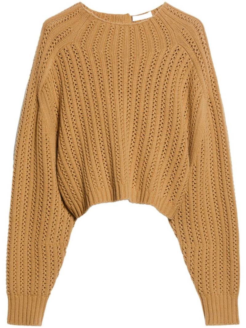 Max Mara Hodeida sweater - Brown von Max Mara