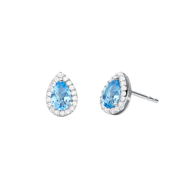 Michael Kors MKC1449A8040 earrings ladies von Michael Kors