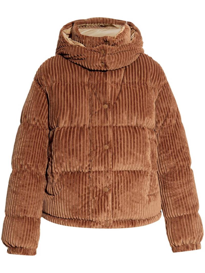 Moncler Daos jacket - Brown von Moncler