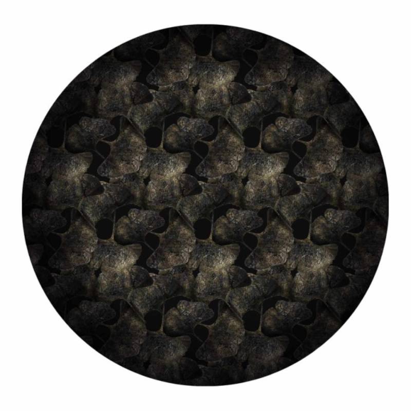 Ginko Leaf Teppich , Farbe black, Grösse d. 350 cm von Moooi Carpets