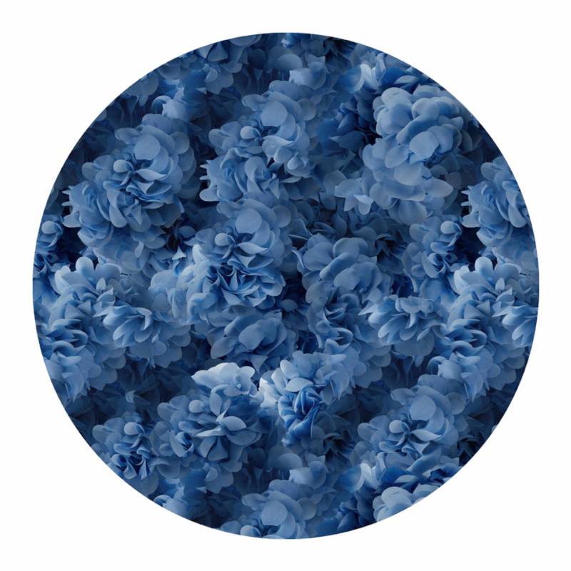 Hortensia Teppich, Farbe blue, Grösse d. 250 cm von Moooi Carpets