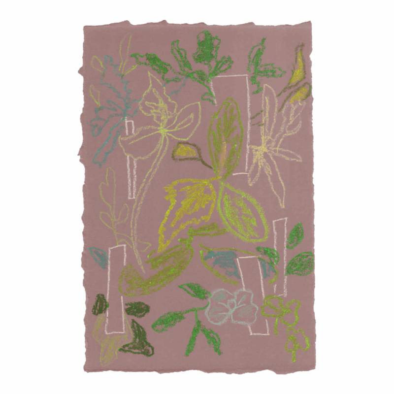Sprouts Teppich, Farbe powder, Grösse 150 x 200 cm von Moooi Carpets