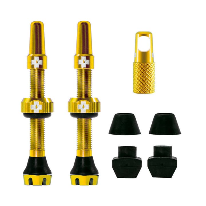 MucOff V2 Tubeless Ventil Kit 44mm Ventile gold von MucOff