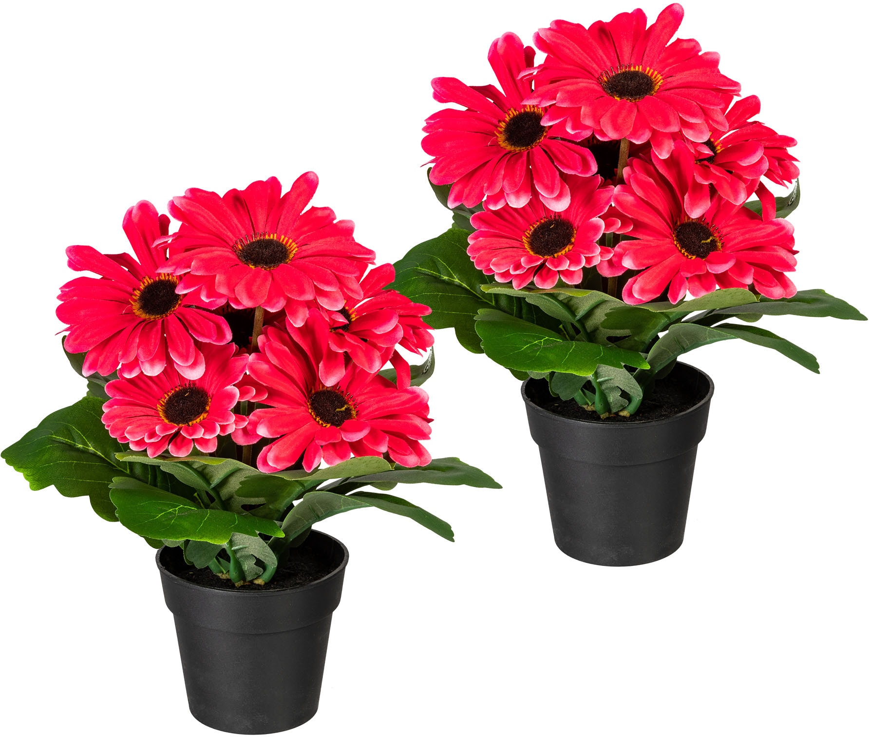 my home Kunstpflanze »Elaine«, im Topf, 2er Set my home Kunstpflanze »Elaine«, im Topf, 2er Set von My Home