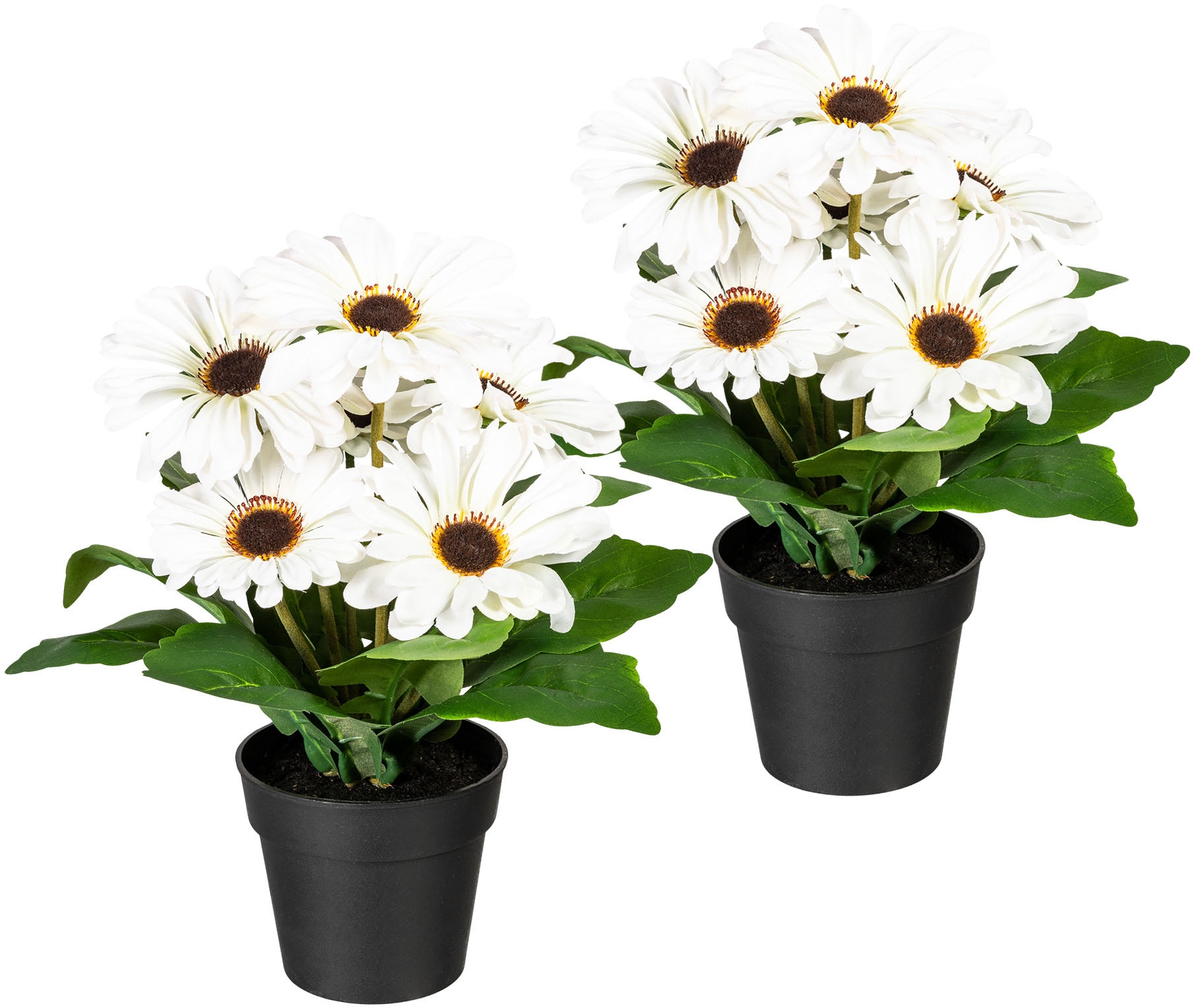 my home Kunstpflanze »Elaine«, im Topf, 2er Set my home Kunstpflanze »Elaine«, im Topf, 2er Set von My Home