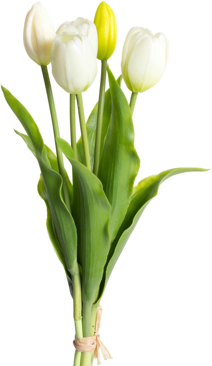 my home Kunstblume »Tulpenbündel Holland real Touch« my home Kunstblume »Tulpenbündel Holland real Touch« von My Home