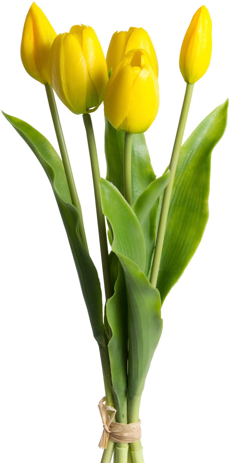 my home Kunstblume »Tulpenbündel Holland real Touch« my home Kunstblume »Tulpenbündel Holland real Touch« von My Home