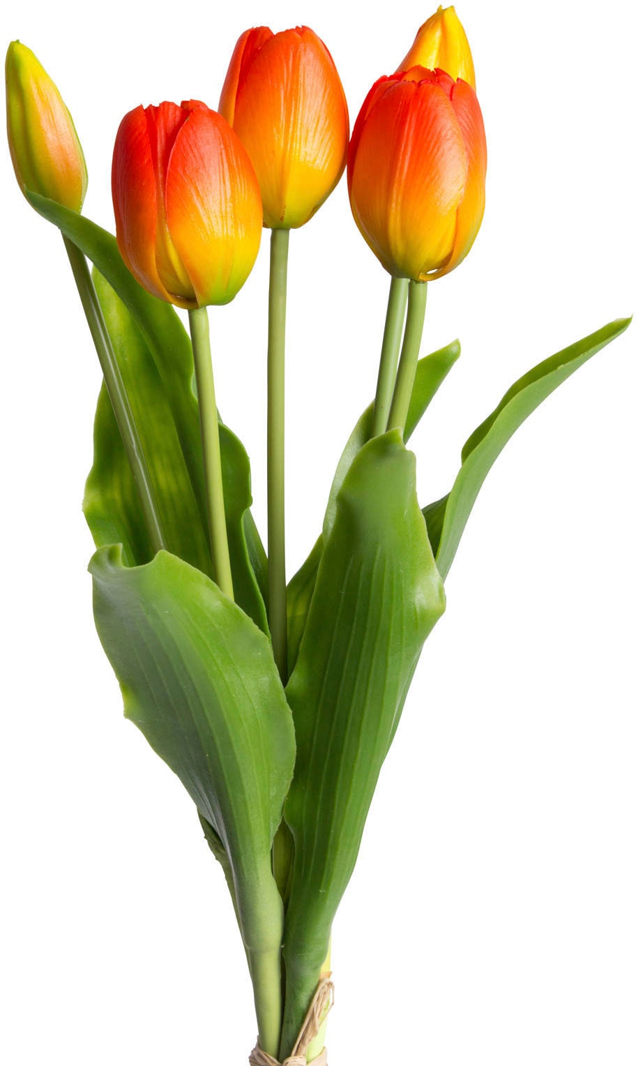 my home Kunstblume »Tulpenbündel Holland real Touch« my home Kunstblume »Tulpenbündel Holland real Touch« von My Home