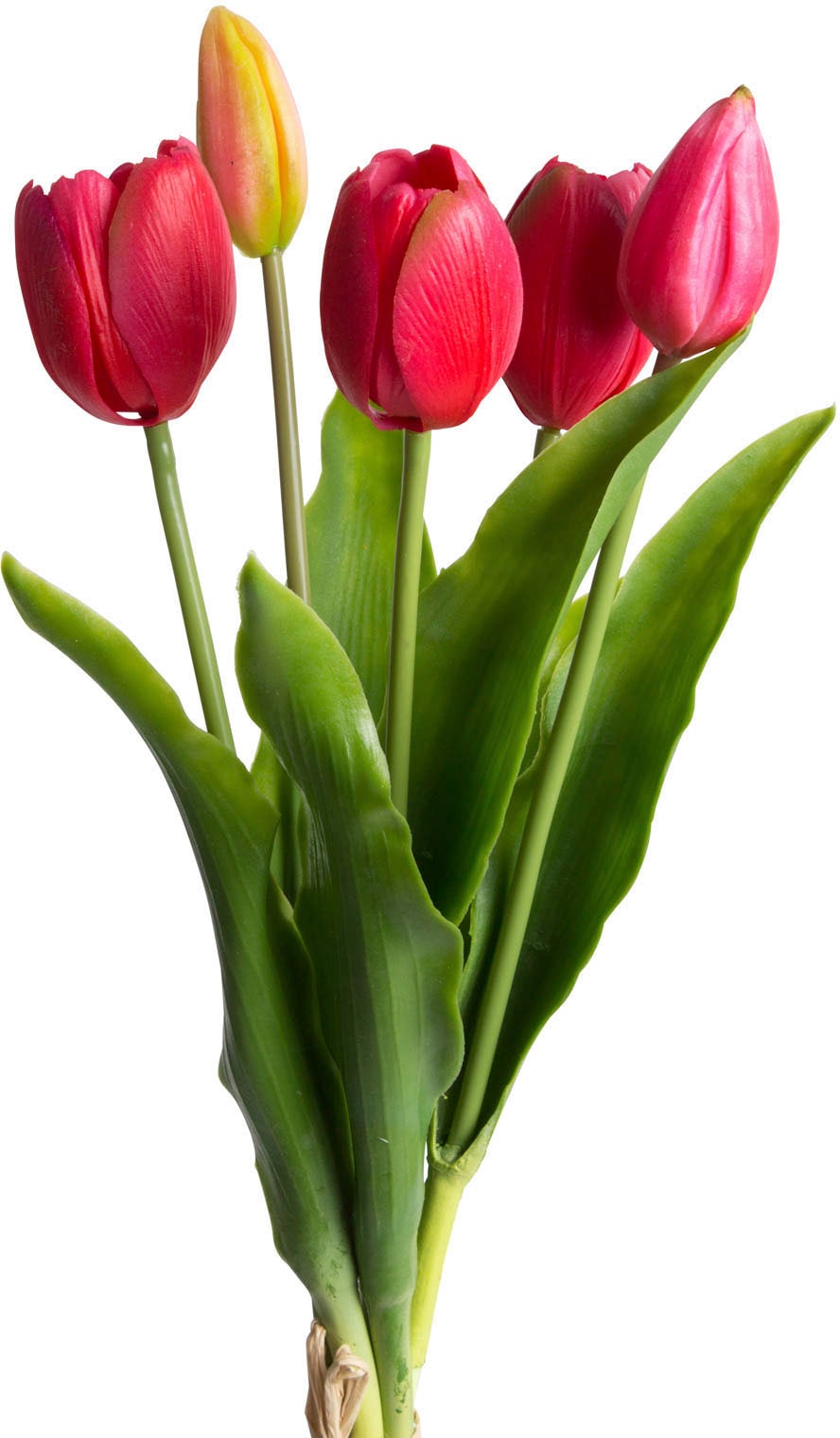 my home Kunstblume »Tulpenbündel Holland real Touch« my home Kunstblume »Tulpenbündel Holland real Touch« von My Home