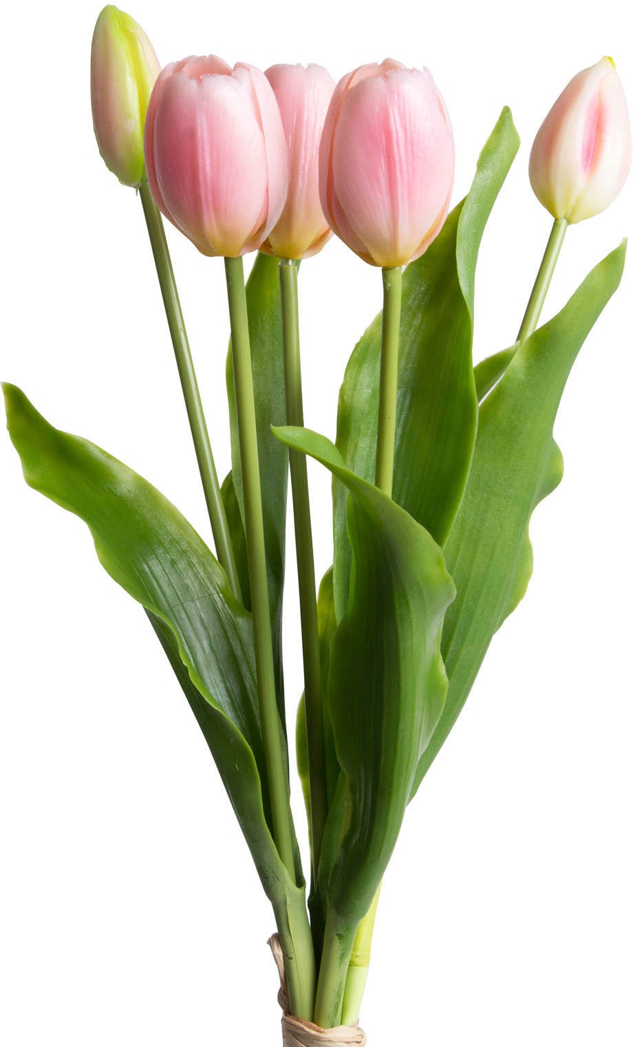 my home Kunstblume »Tulpenbündel Holland real Touch« my home Kunstblume »Tulpenbündel Holland real Touch« von My Home