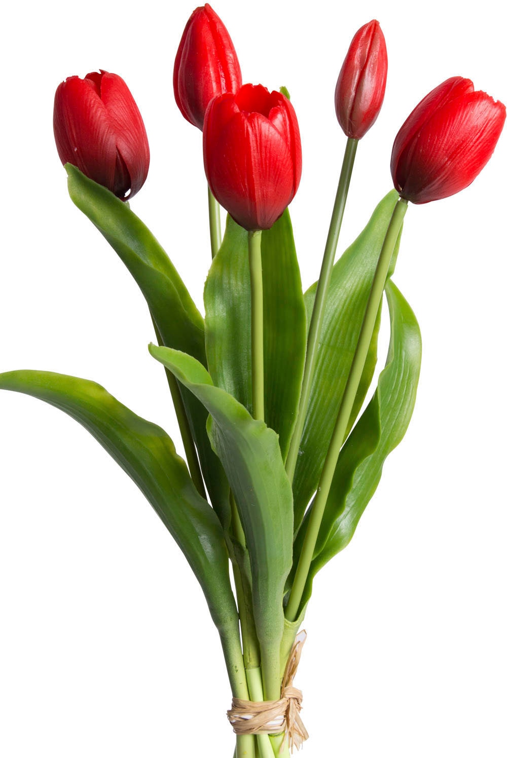 my home Kunstblume »Tulpenbündel Holland real Touch« my home Kunstblume »Tulpenbündel Holland real Touch« von My Home
