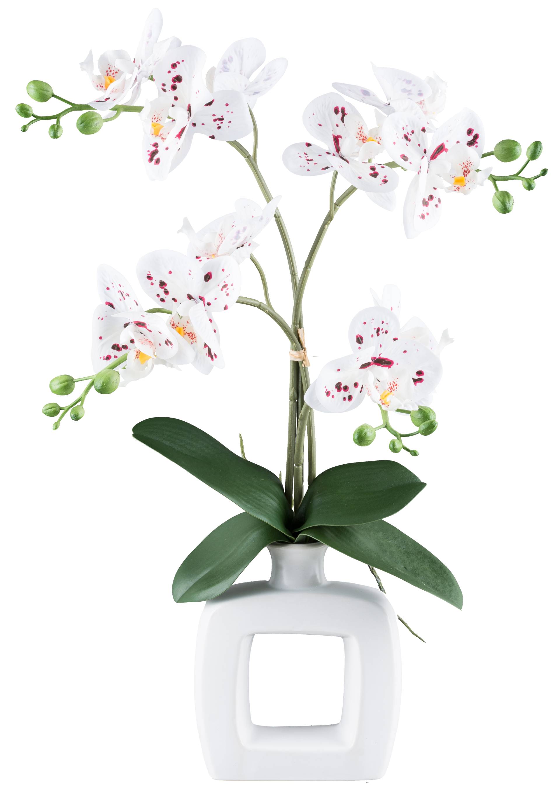 my home Kunstorchidee »Orchidee Phalaenopsis«, mit real-touch-Blüten von My Home