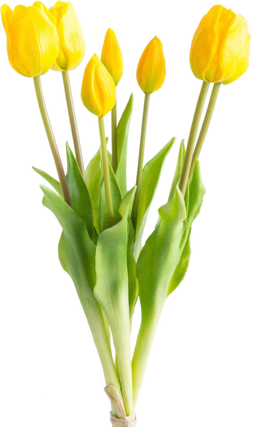 my home Kunstpflanze »Maiva«, Tulpenbündel im 7er-Set my home Kunstpflanze »Maiva«, Tulpenbündel im 7er-Set von My Home
