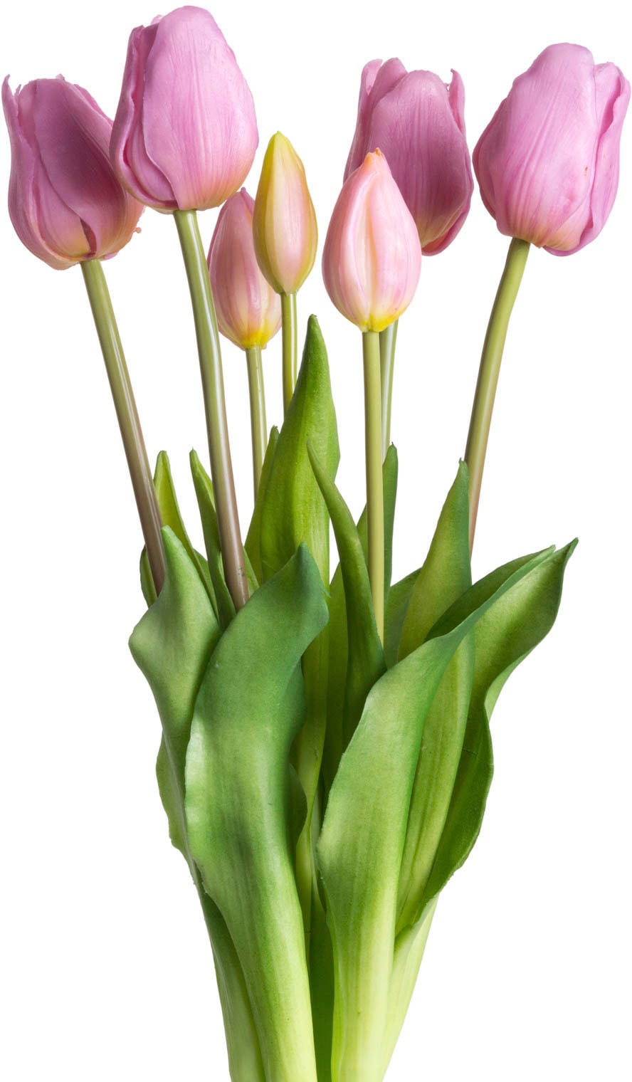 my home Kunstpflanze »Maiva«, Tulpenbündel im 7er-Set my home Kunstpflanze »Maiva«, Tulpenbündel im 7er-Set von My Home