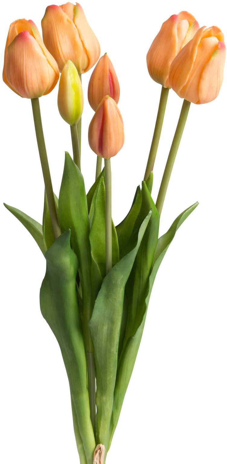 my home Kunstpflanze »Maiva«, Tulpenbündel im 7er-Set my home Kunstpflanze »Maiva«, Tulpenbündel im 7er-Set von My Home