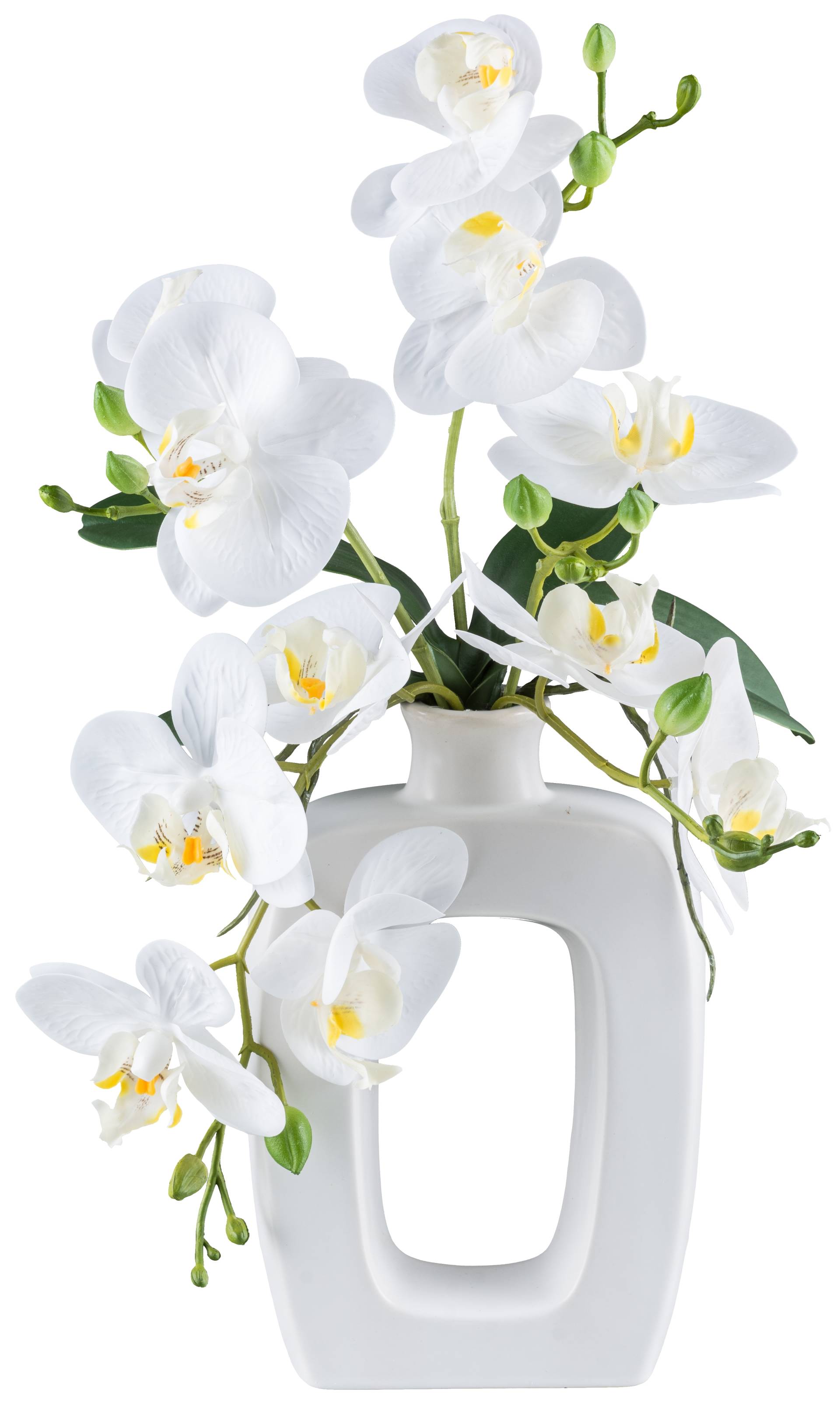 my home Kunstpflanze »Orchidee Phalaenopsis«, im Design-Gefäss von My Home