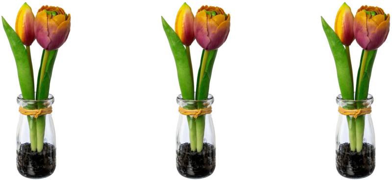 my home Kunsttulpe »Tulpen in Vase« von My Home