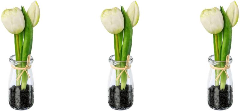 my home Kunsttulpe »Tulpen in Vase« von My Home