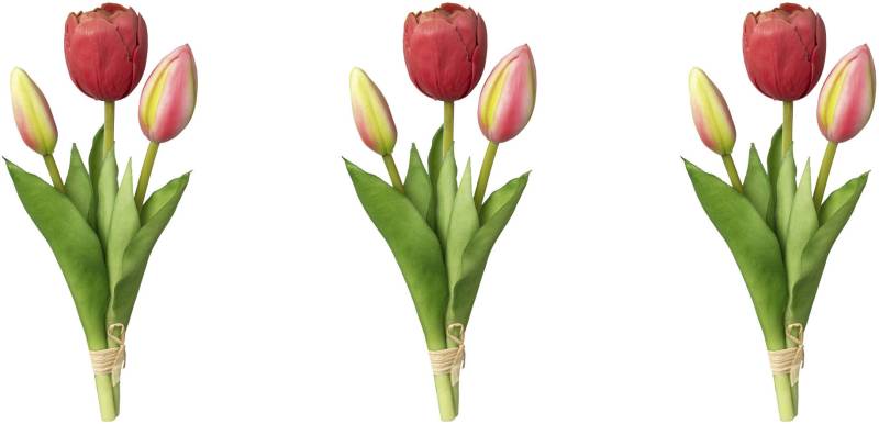 my home Kunsttulpe »Tulpenbund« my home Kunsttulpe »Tulpenbund« von My Home