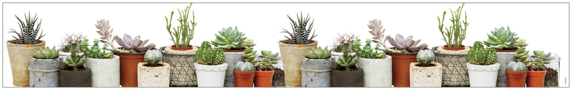 MySpotti Fensterfolie »Look Succulents«, halbtransparent, glattstatisch haftend, 200 x 30 cm, statisch haftend von MySpotti