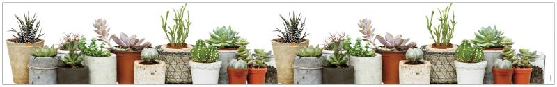 MySpotti Fensterfolie »Look Succulents«, halbtransparent, glattstatisch haftend, 200 x 30 cm, statisch haftend von MySpotti