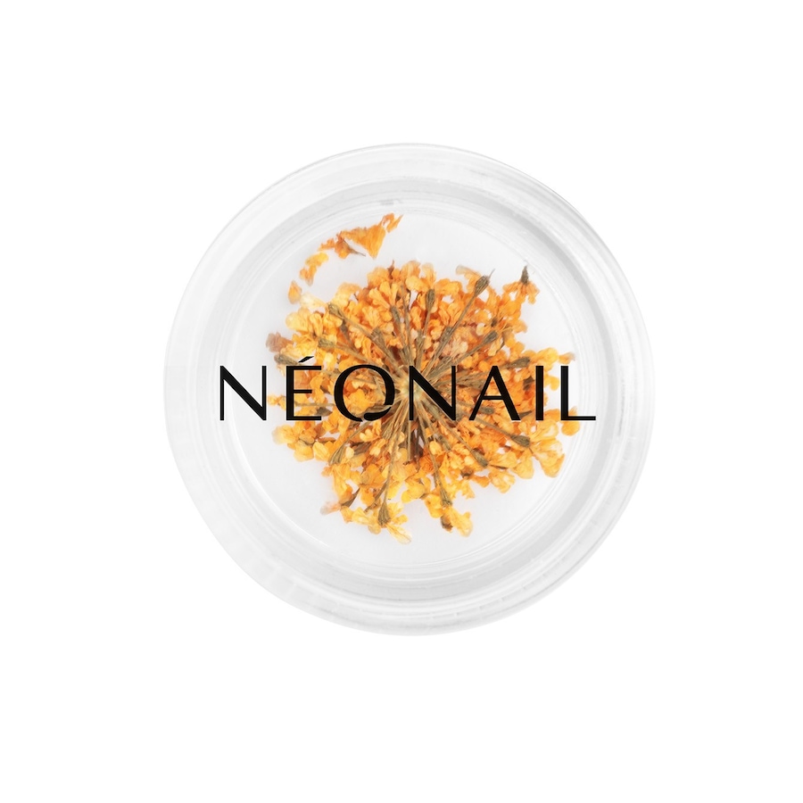 NEONAIL  NEONAIL The Muse in You uv_nagellack 2.0 g von NEONAIL