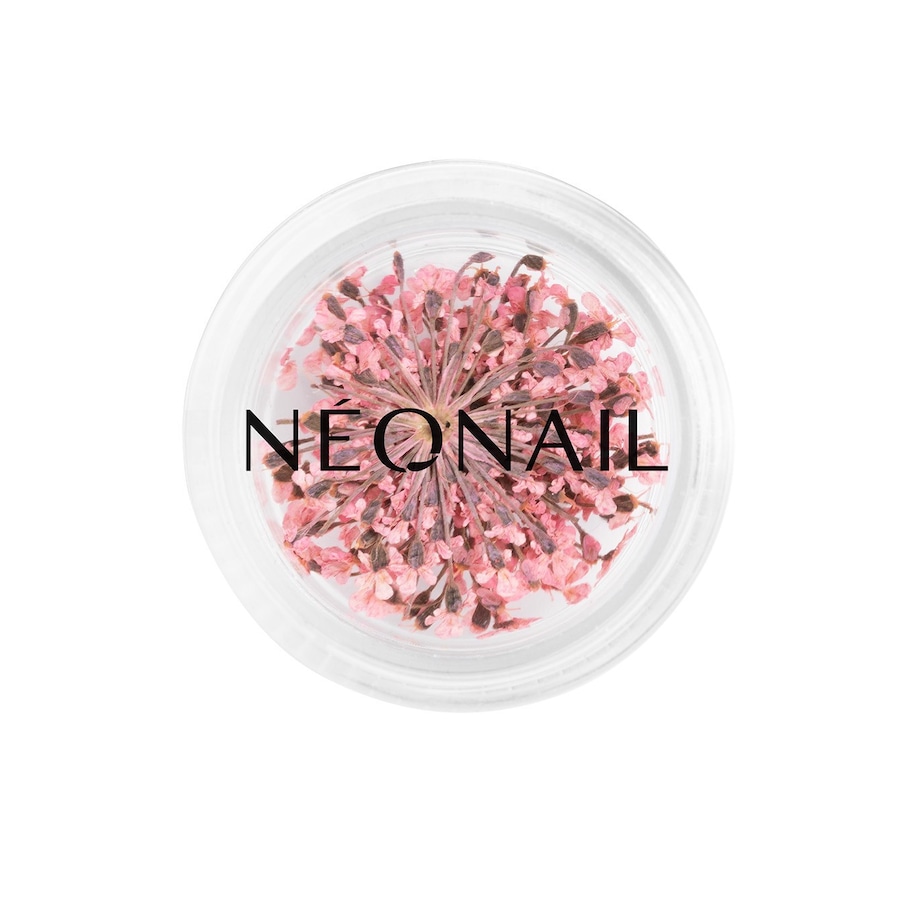 NEONAIL NEONAIL The Muse in You uv_nagellack 2.0 g NEONAIL NEONAIL The Muse in You uv_nagellack 2.0 g von NEONAIL