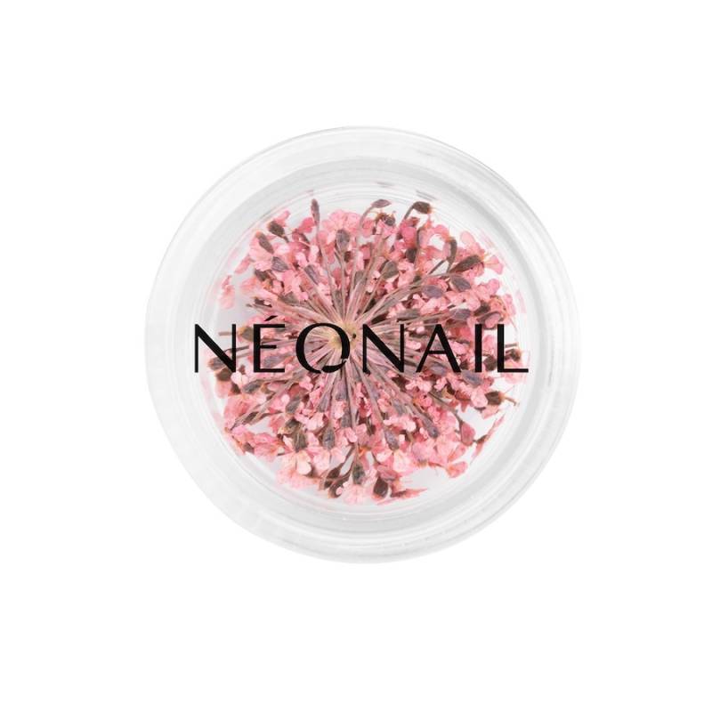 NEONAIL  NEONAIL The Muse in You uv_nagellack 2.0 g von NEONAIL