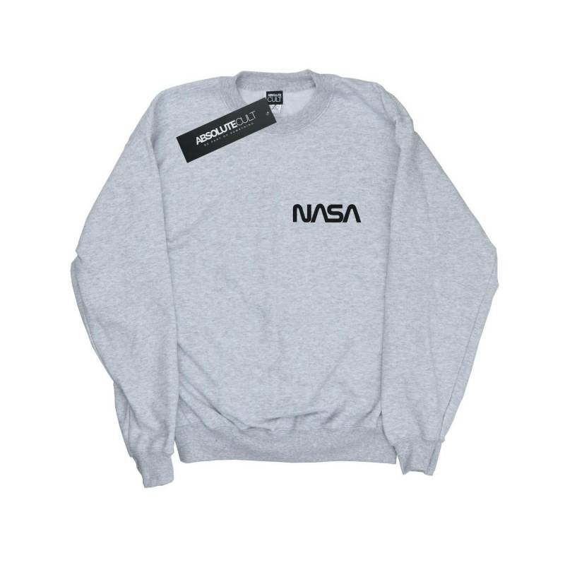 Modern Logo Chest Sweatshirt Jungen Grau 128 von Nasa