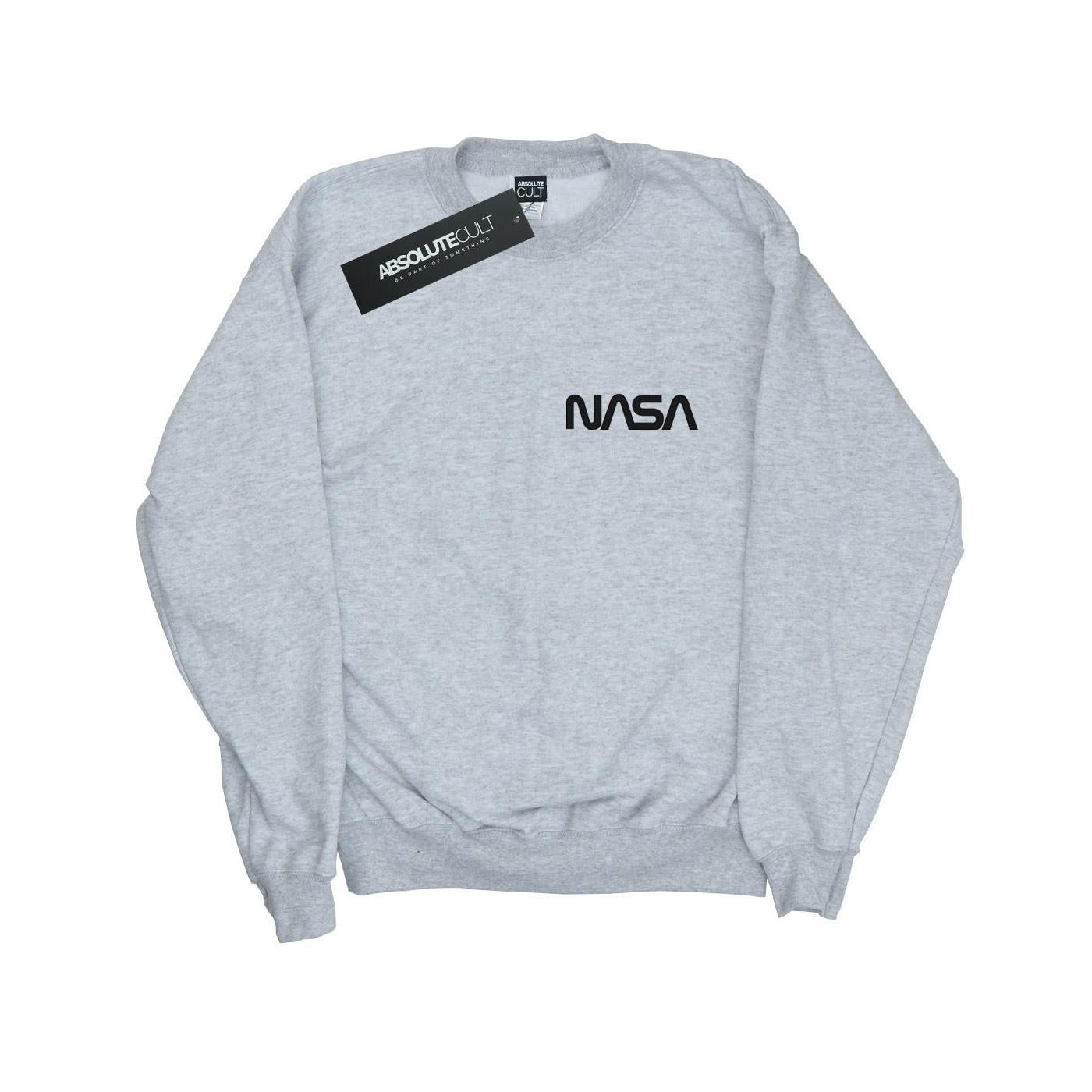 Modern Logo Chest Sweatshirt Mädchen Grau 116 von Nasa