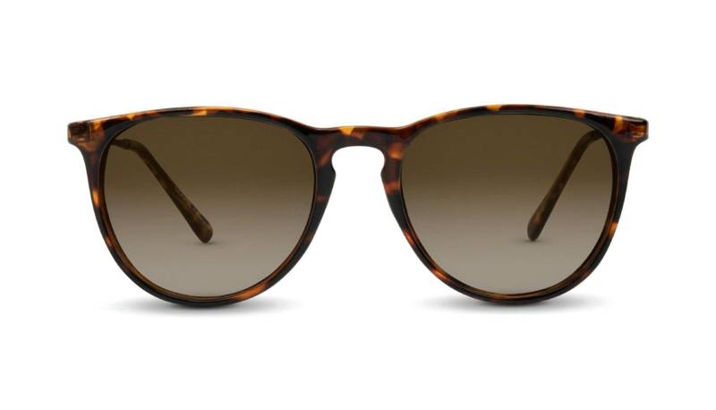 Nectar - Goose Shockoe Sonnenbrille, für Herren, Braun, Größe 50mm von Nectar