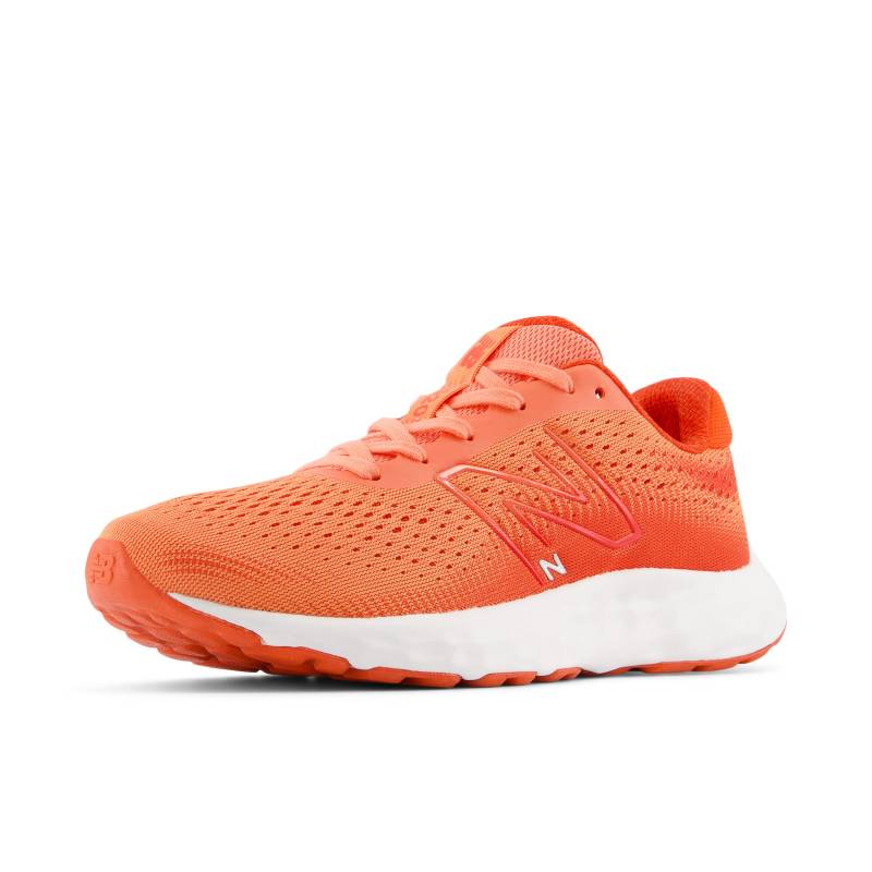 New Balance Laufschuh »W520« von New Balance