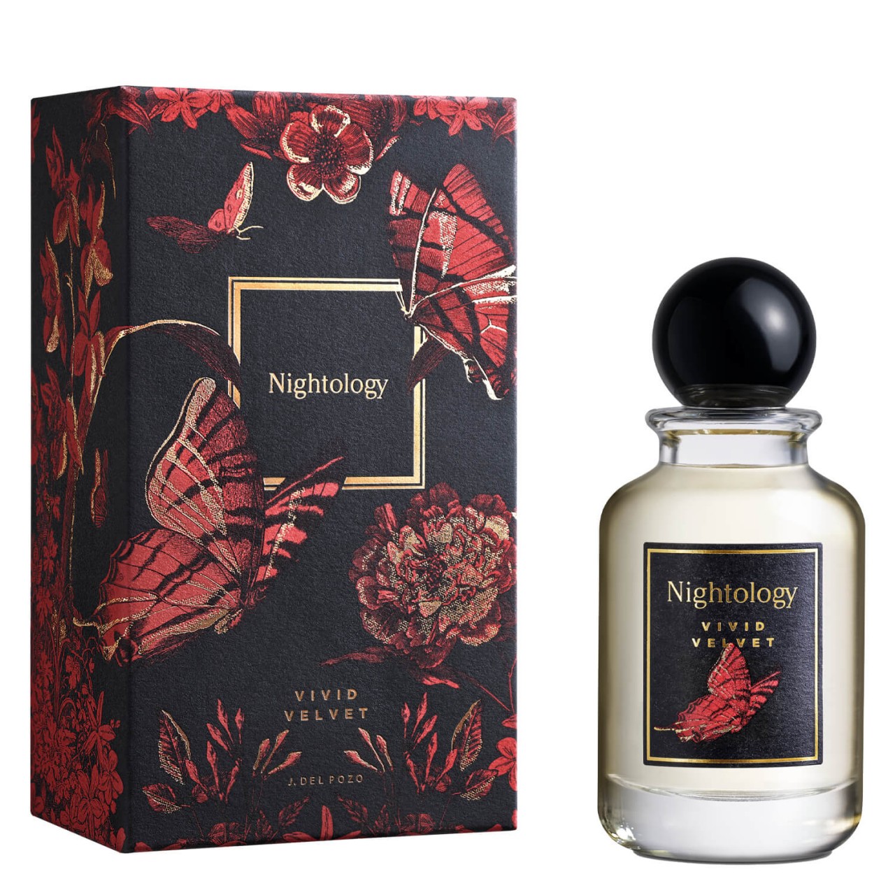 Nightology - Vivid Velvet Eau de Parfum von Nightology