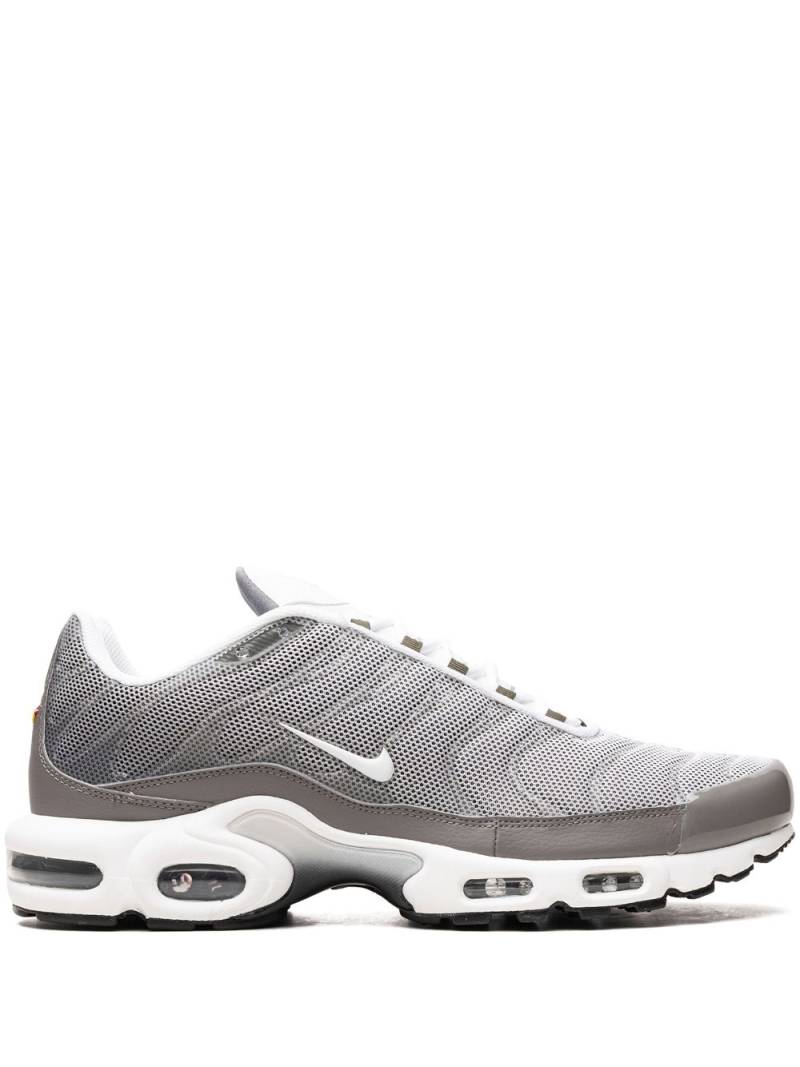 Nike Air Max Plus SE "Flat Pewter" sneakers - Grey von Nike