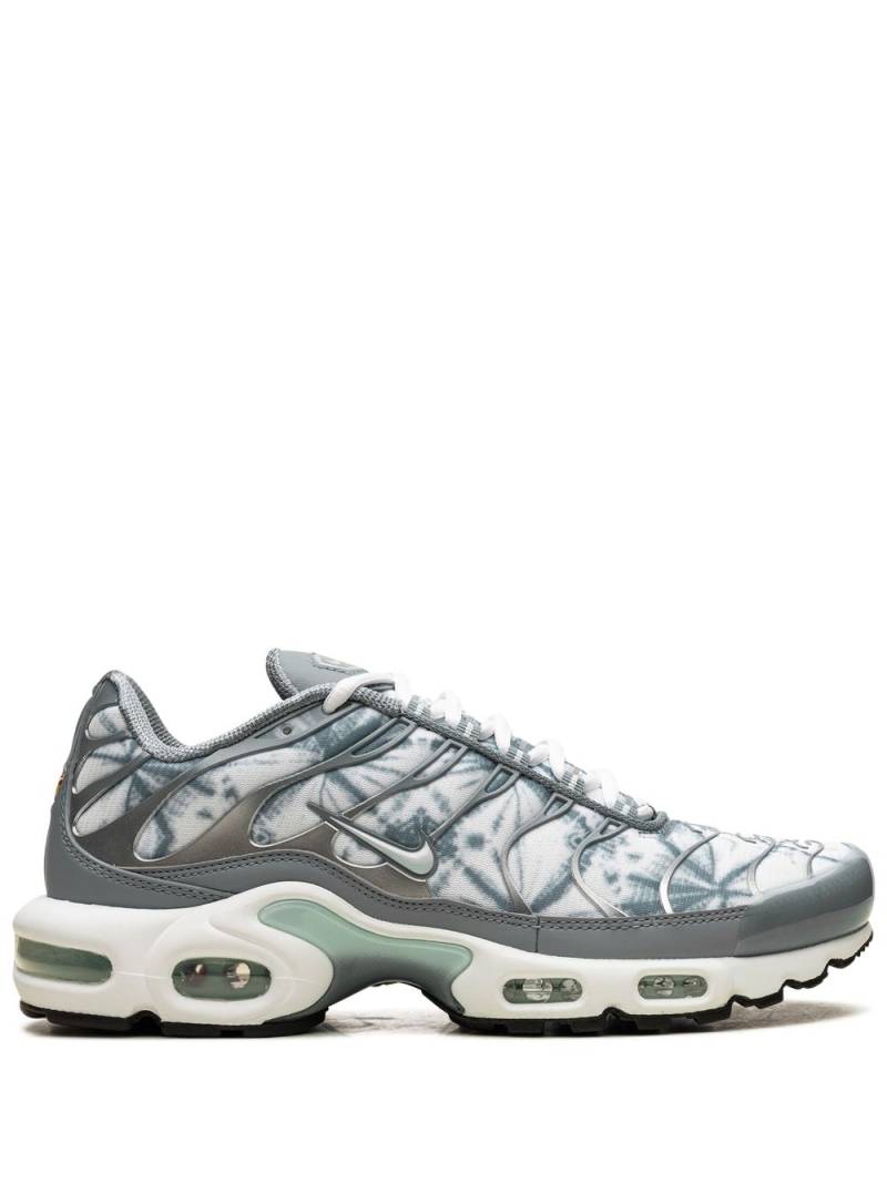 Nike Air Max Plus sneakers - Blue von Nike