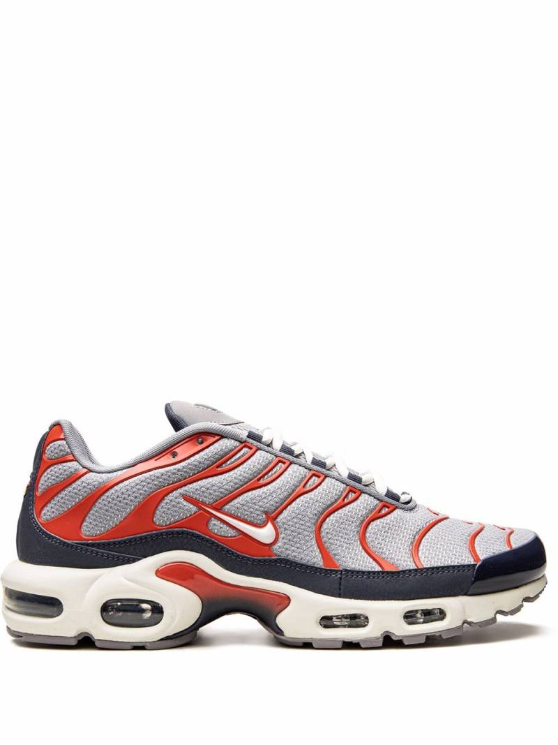 Nike Air Max Plus "USA Grey" sneakers von Nike