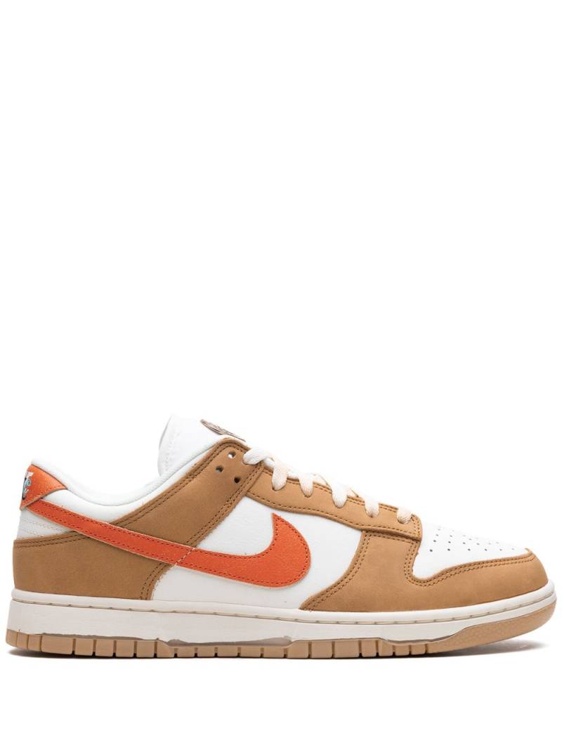 Nike Dunk Low "Be The 1" sneakers - Brown von Nike