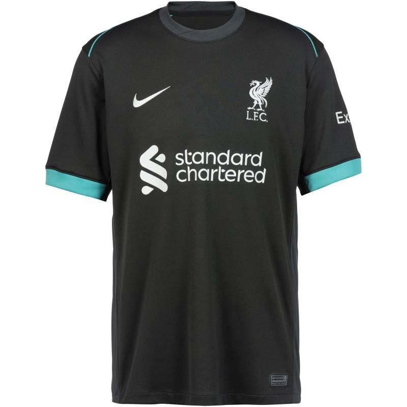 Nike FC Liverpool 24-25 Auswärts Teamtrikot Herren von Nike