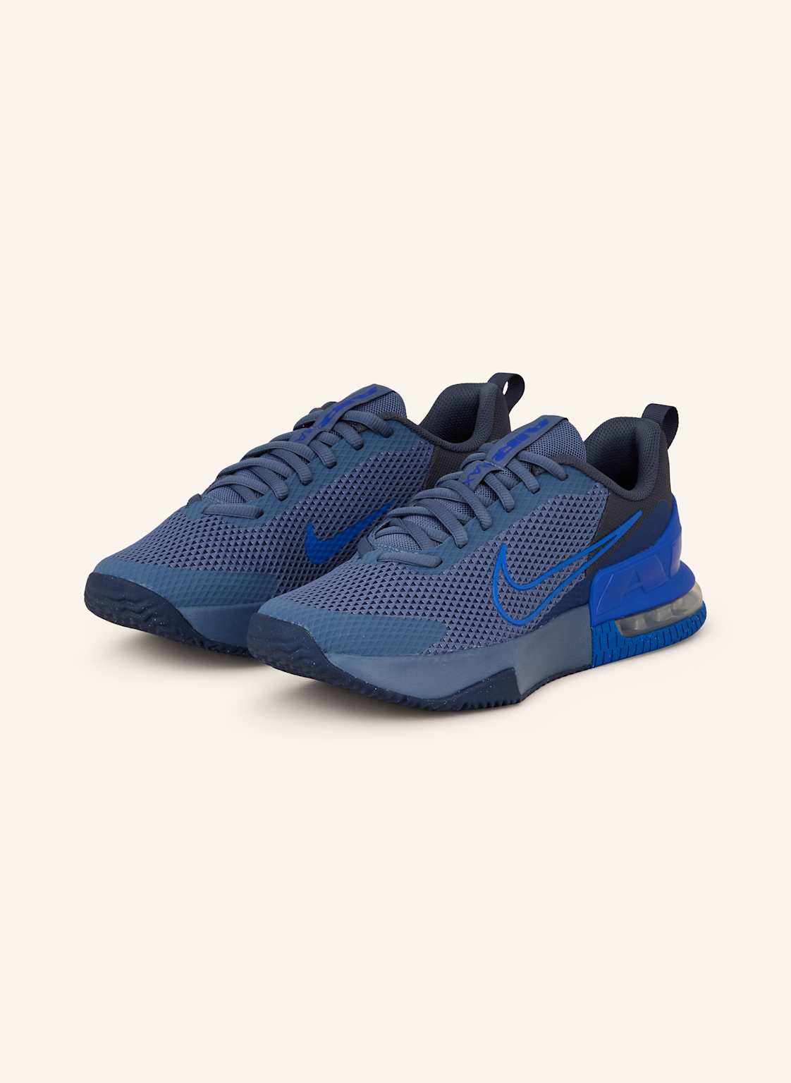 Nike Fitnessschuhe Air Max Alpha Trainer 6 blau Nike Fitnessschuhe Air Max Alpha Trainer 6 blau von Nike