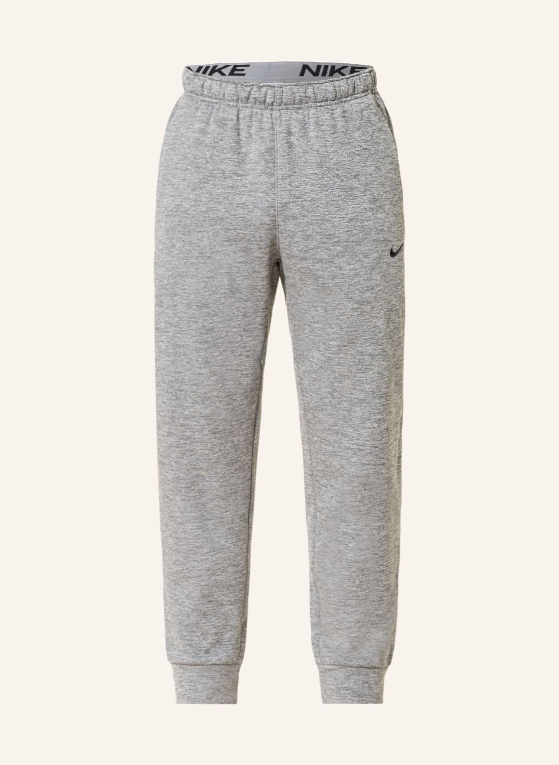 Nike Sweatpants Therma-Fit grau von Nike