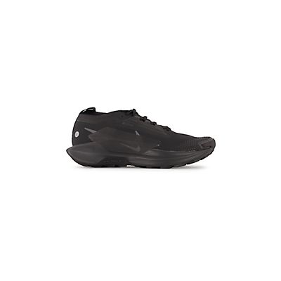 Pegasus Trail 5 Gore-Tex® Herren Trailrunningschuh von Nike