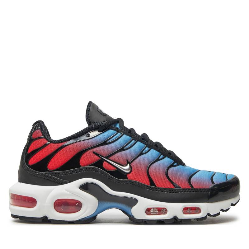 Sneakers Nike Air Max Plus HF5386 001 Bunt von Nike