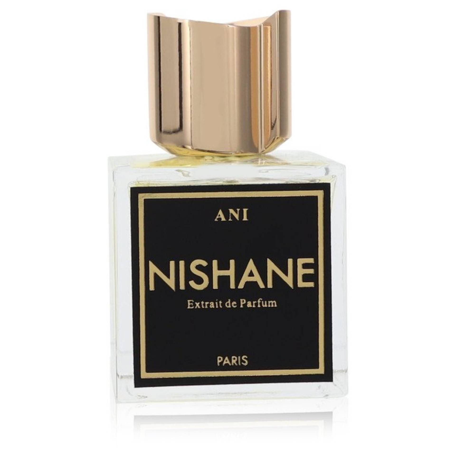 Nishane Ani Extrait De Parfum Spray (Unisex unboxed) 100 ml von Nishane