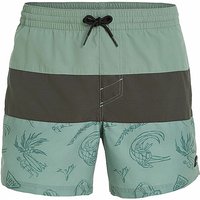 O'NEILL Herren Badeshort Cali Block 15'' hellgrün | M O'NEILL Herren Badeshort Cali Block 15'' hellgrün | M von O'Neill