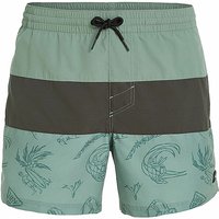 O'NEILL Herren Badeshort Cali Block 15'' hellgrün | M von O'Neill