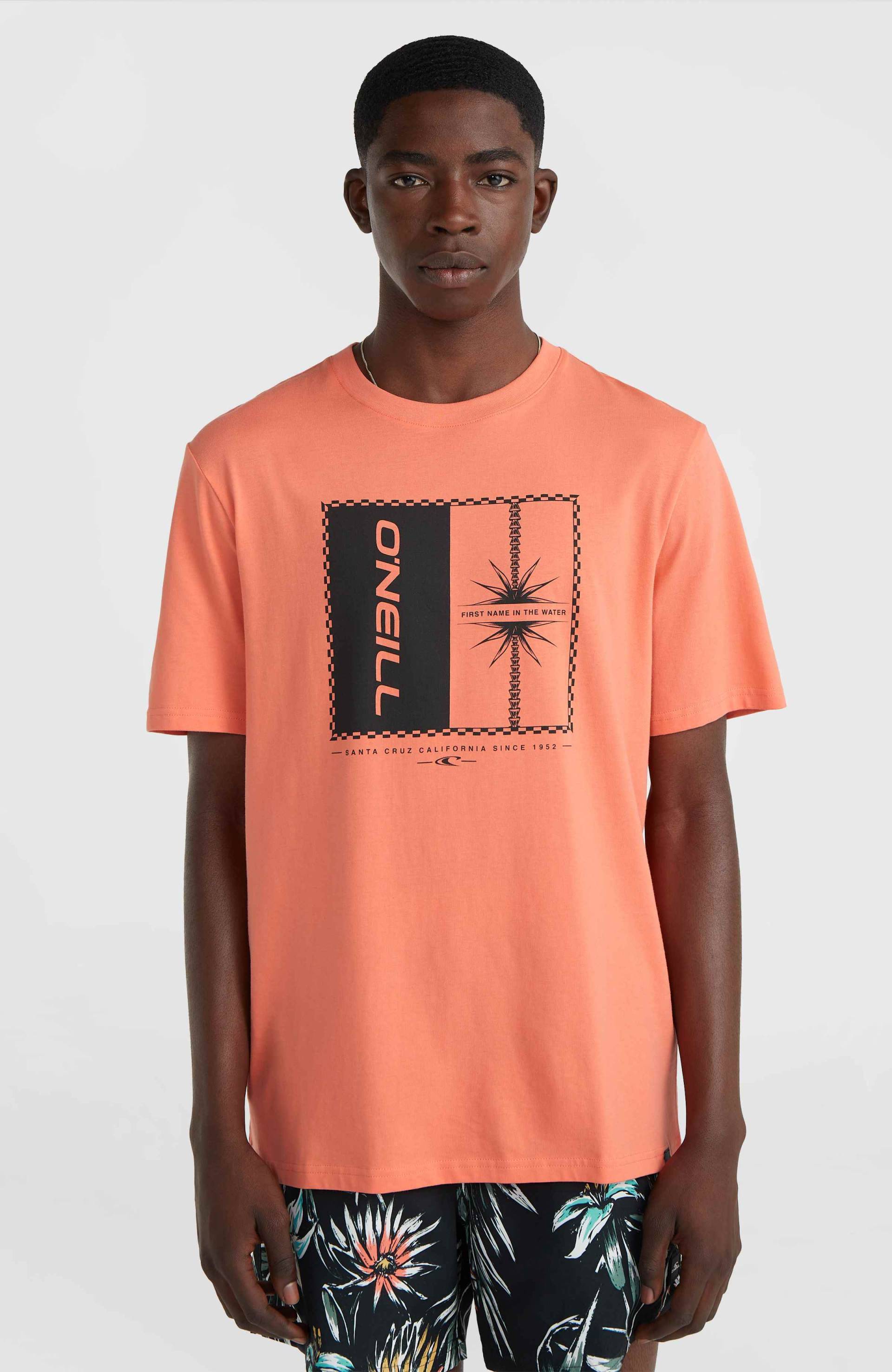 O'Neill T-Shirt »MIX & MATCH PALM T-SHIRT«, mit Rundhalsausschnitt O'Neill T-Shirt »MIX & MATCH PALM T-SHIRT«, mit Rundhalsausschnitt von O'Neill