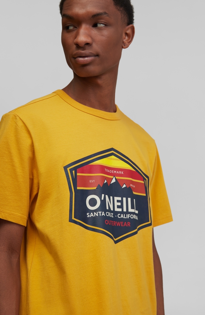 O'Neill T-Shirt »Mtn Horizon Ss T-Shirt« von O'Neill